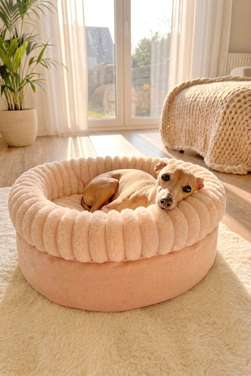 Dog Beds