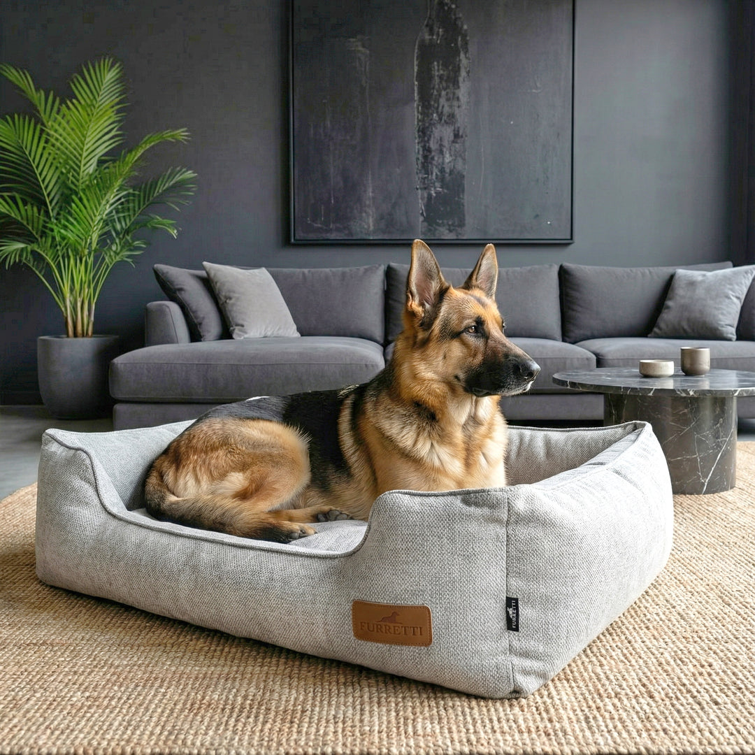 AURA Bed