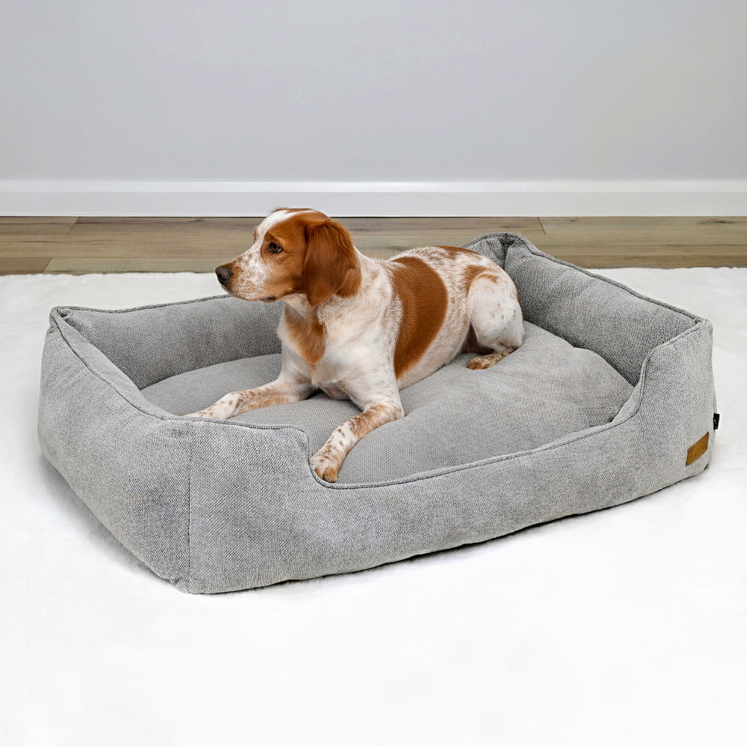 AURA Bed