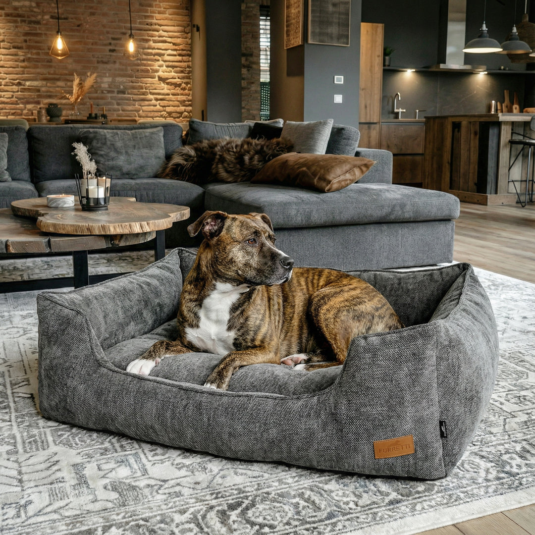 AURA Bed