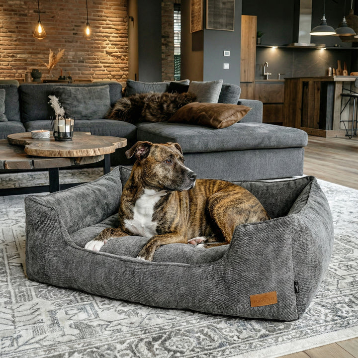 AURA Bed