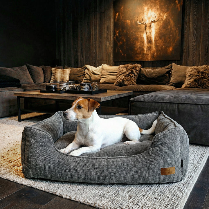 AURA Bed