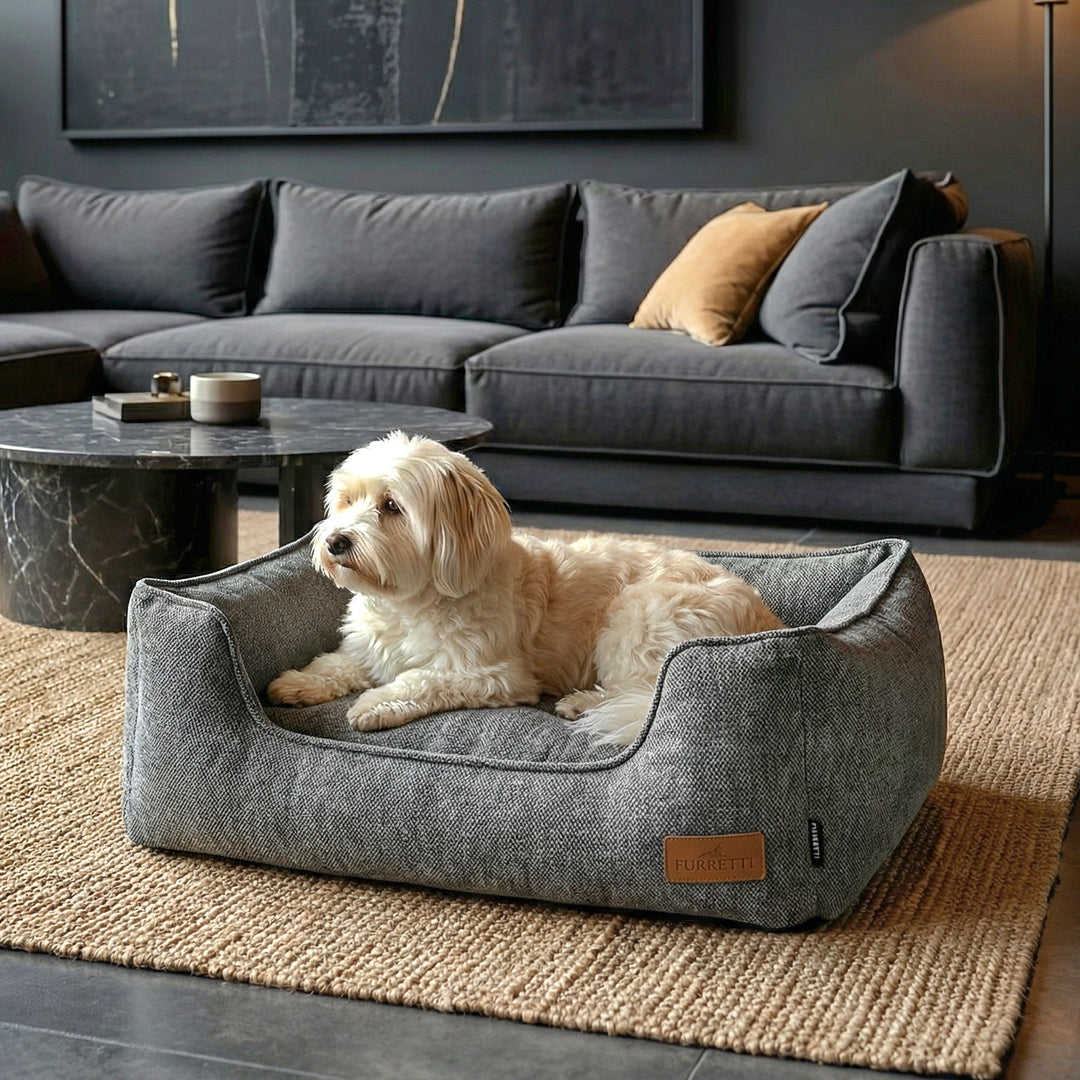AURA Bed