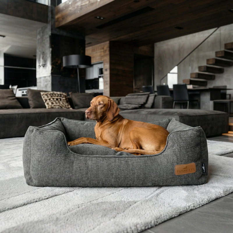 AURA Bed