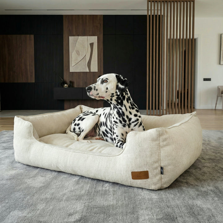 AURA Bed