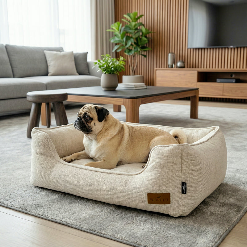 AURA Bed