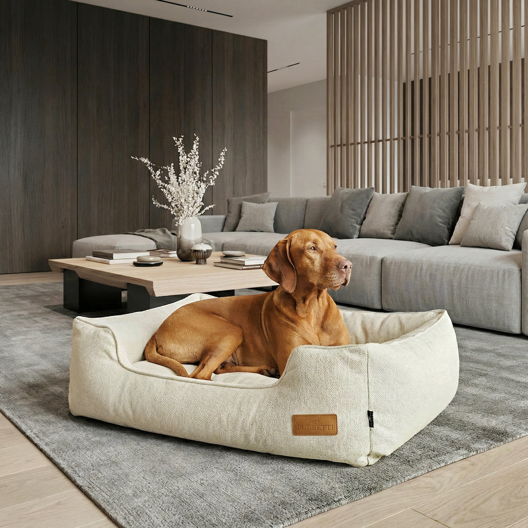 AURA Bed