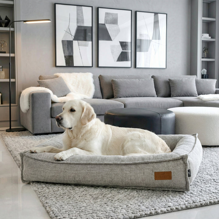 BOSCO BED