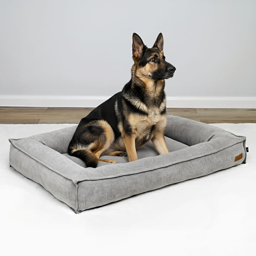 BOSCO BED