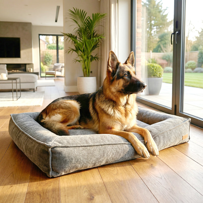 BOSCO BED