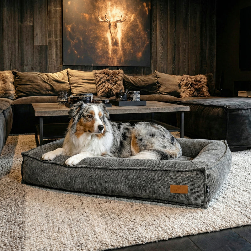 BOSCO BED
