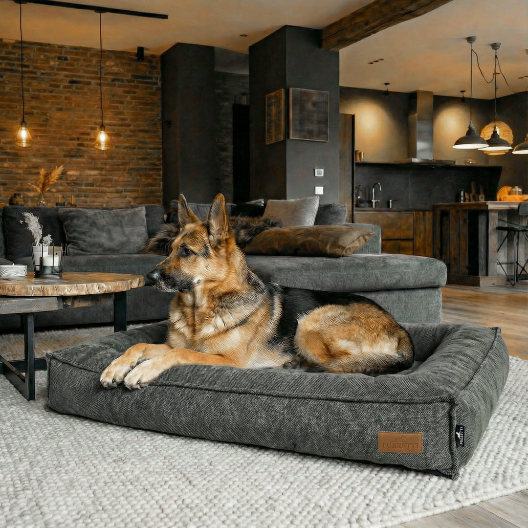 BOSCO BED
