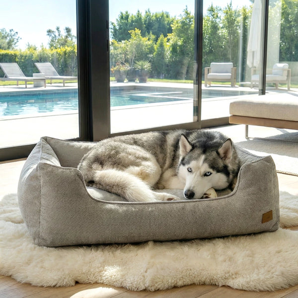 AURA Bed
